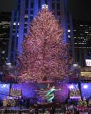 Rockefeller Center Tree